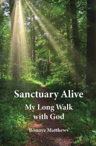 Sanctuary-cover