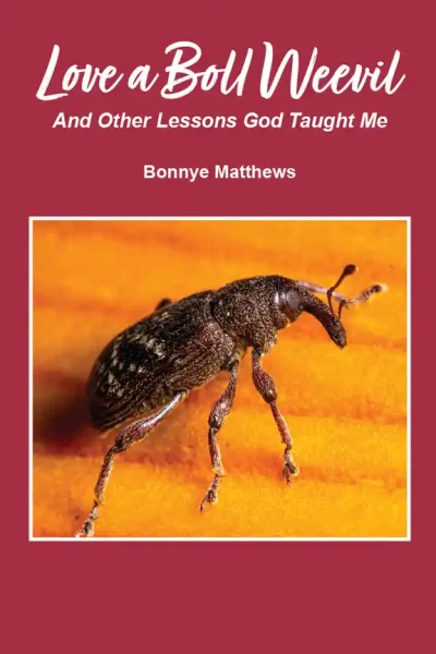 bollweevil
